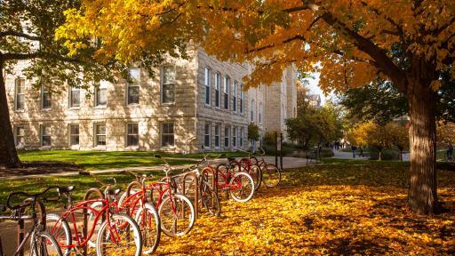 Campus in fall